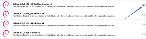 选择Debian Desktop Gnome系统