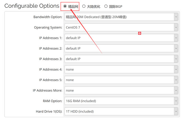  Japanese independent server configuration